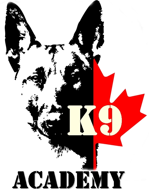 k9 ACADEMY 